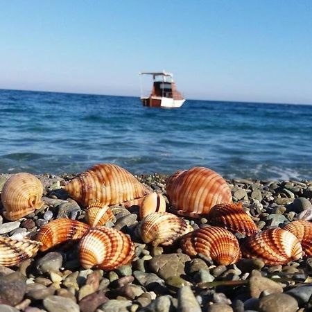 Κατοικία Πανόραμα, Πραγματευτή Λεωνιδίου, Τ.Κ.22300 Leonídion Eksteriør billede