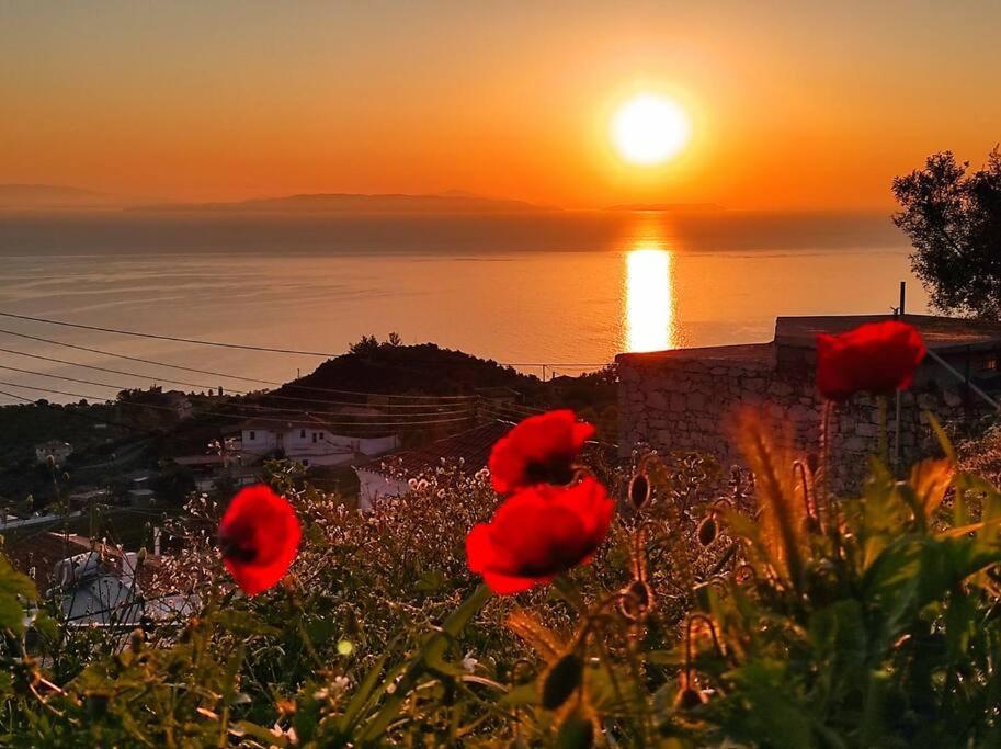 Κατοικία Πανόραμα, Πραγματευτή Λεωνιδίου, Τ.Κ.22300 Leonídion Eksteriør billede
