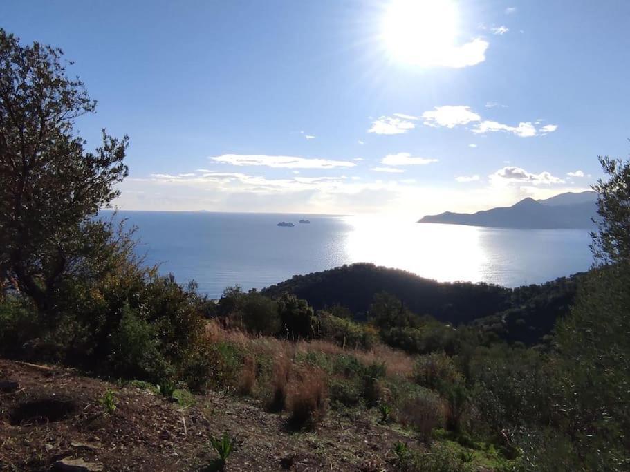 Κατοικία Πανόραμα, Πραγματευτή Λεωνιδίου, Τ.Κ.22300 Leonídion Eksteriør billede