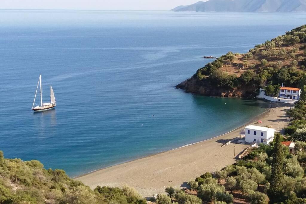 Κατοικία Πανόραμα, Πραγματευτή Λεωνιδίου, Τ.Κ.22300 Leonídion Eksteriør billede